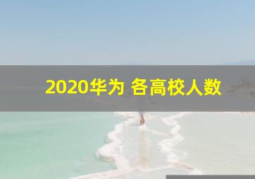 2020华为 各高校人数